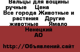 Вальцы для вощины ручные  › Цена ­ 10 000 - Все города Животные и растения » Другие животные   . Ямало-Ненецкий АО